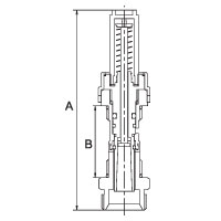 PF-MB-817