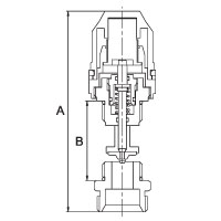 PF-MB-818